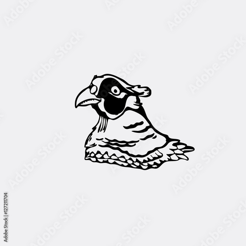 Hand-drawn pencil graphics, bird, pheasant. Engraving, stencil style.
