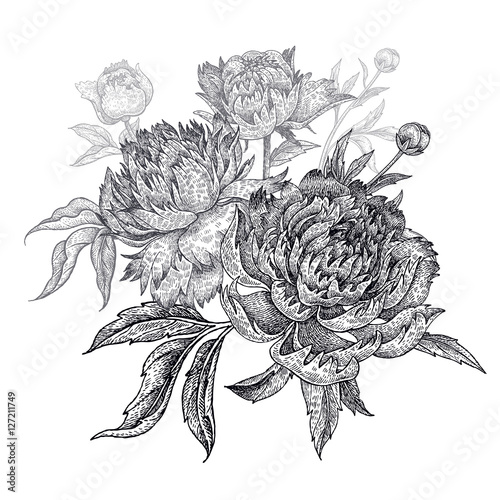 Bouquet peony flowers on a white background.