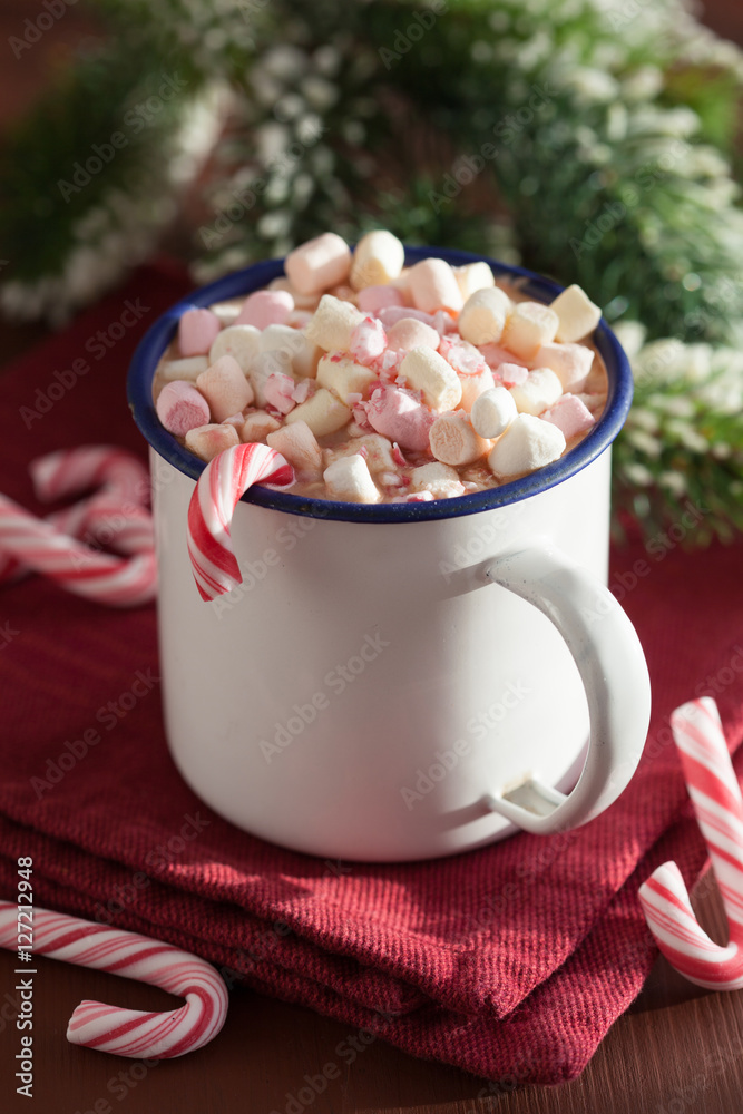 hot chocolate with mini marshmallow candy cane hot chocolate with mini marshmallow candy cane