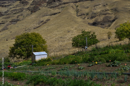 Imnaha, Oregon photo