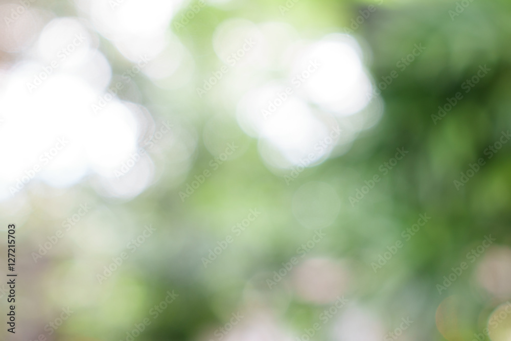 Fototapeta premium abstract background, Blur green leaves with bokeh
