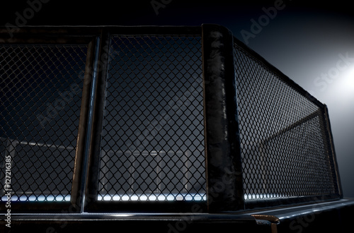 MMA Cage Night photo