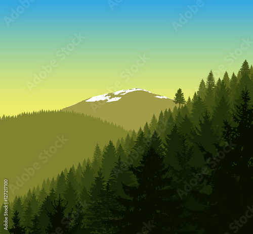 Panorama of mountains. Silhouette of mountains with snow and coniferous trees on the background of colorful sky. Can be used as eco banner.