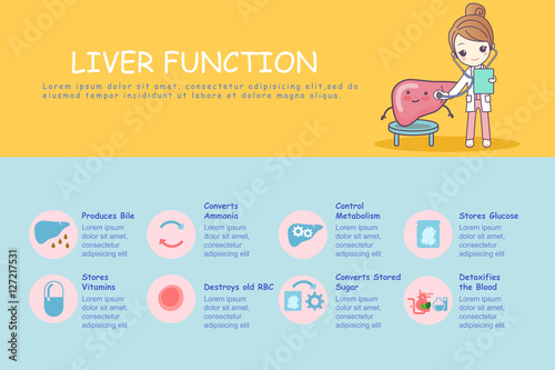 infographic of liver