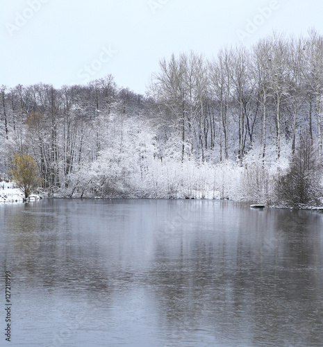 nature in winter