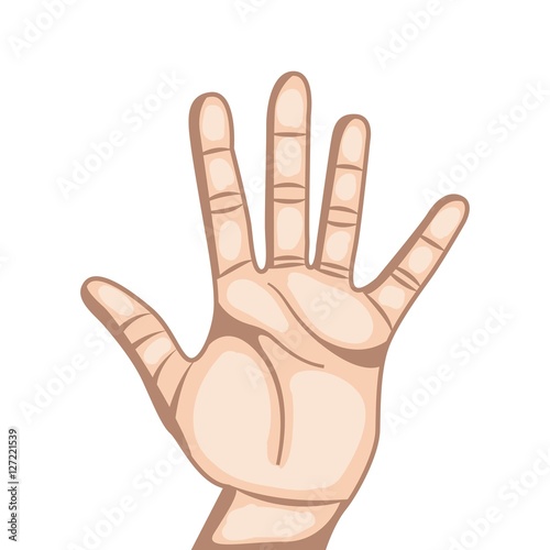 human hand with number gesture expression over white background. colorful design. vector illustration