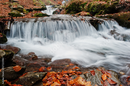 Fototapeta Naklejka Na Ścianę i Meble -  Mountain river rapids at autumn majestic forest with fallen leav