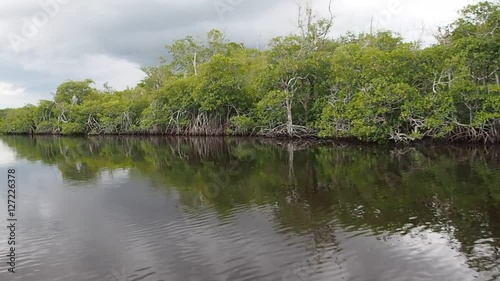 Bootsfahrt durch die Everglades