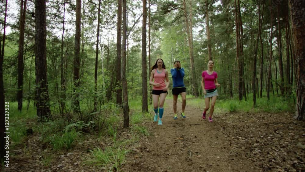 run training in the forest run training in the forest