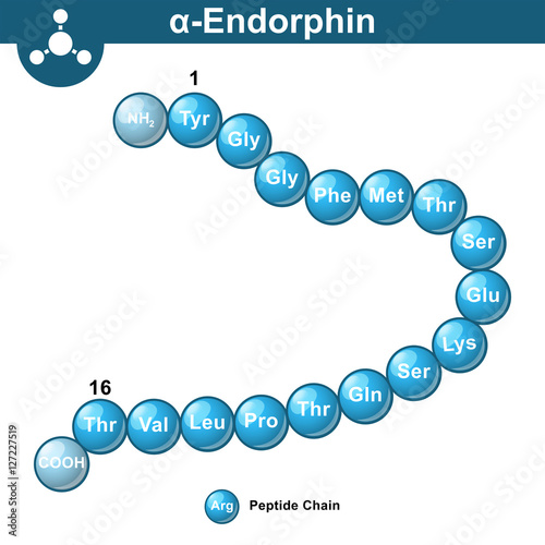 Alpha endorphin chemical structure