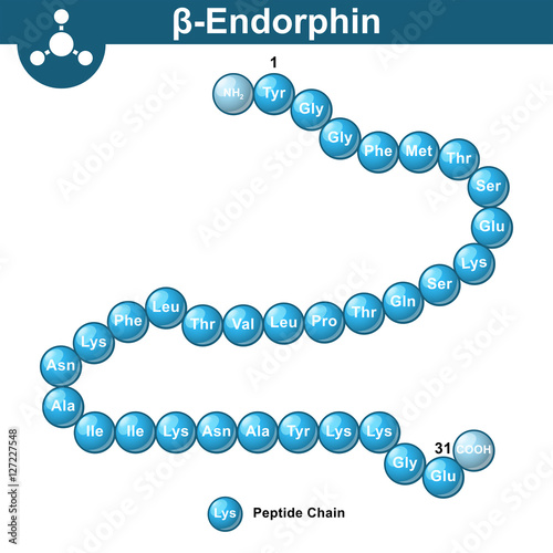 Beta endorphin molecular formula