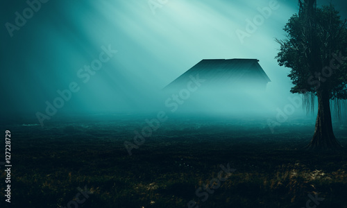scary house in mysterious horror forest  photo