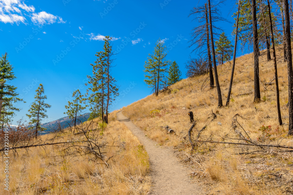 Fragment of trail at Okanagan Lake in Kelowna, Vancouver, Canada. Fragment of trail at Okanagan Lake in Kelowna, Vancouver, Canada.