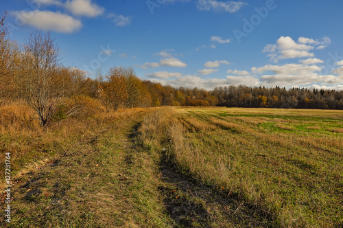 Autumn rural landscape