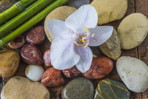 Spa concept with orchid flower, bamboo and massage stones couvred with water drops