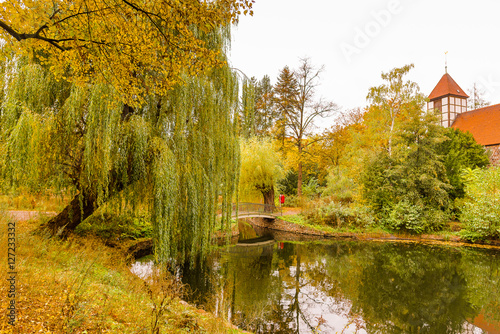 Weide am herbstlichen Teich