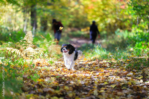 Chasing Autumn