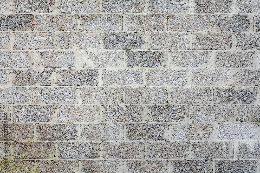 Fototapeta premium Brick wall