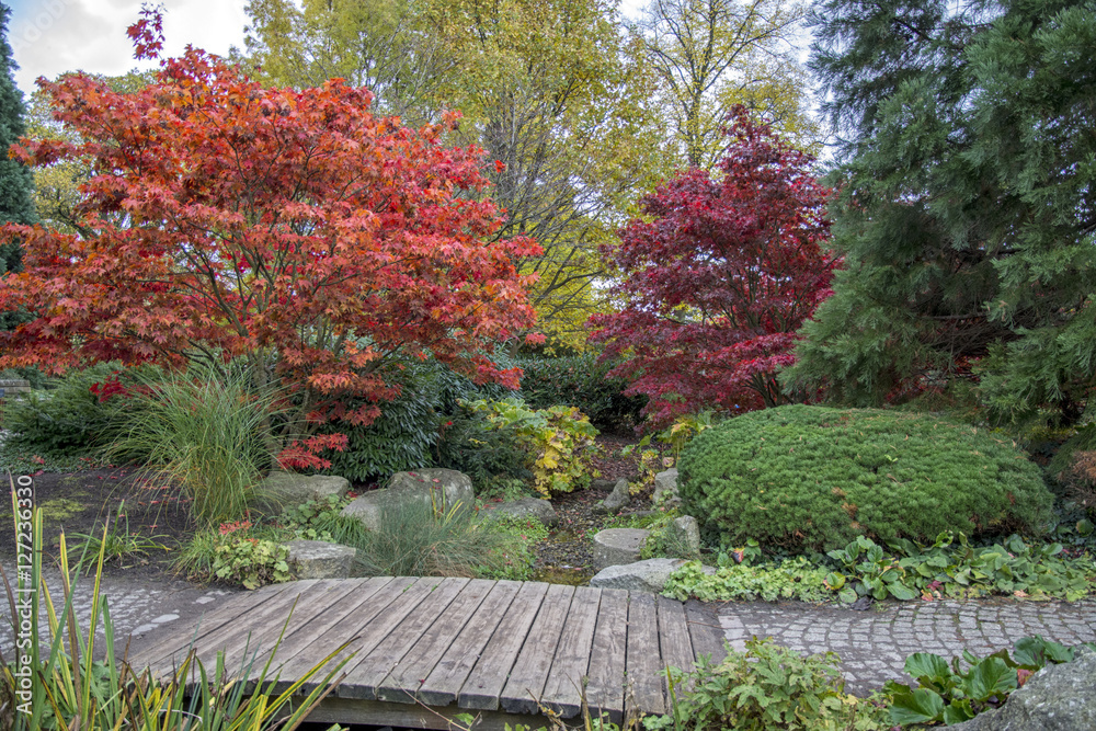 Naklejka premium Herbst in Hamburg - Park Planten un Blomen und japanischer Garten
