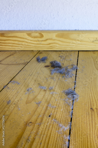 dust dirt and crumbles on the wood floor under the bed photo