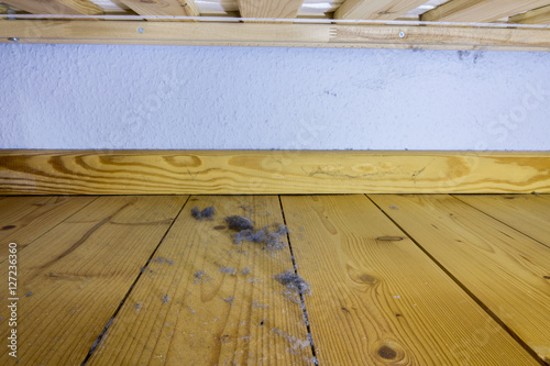 Home dust on the wooden floor under the bed photo