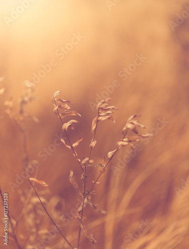 The Colors of November