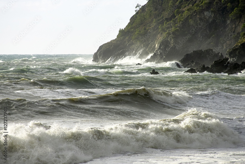 Fototapeta premium big storm in levanto