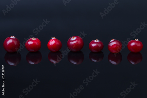 Line of cranberry on black background with reflection