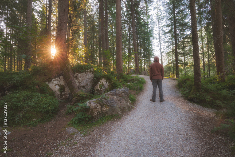 Fototapeta premium Man standing at the sunny forest path