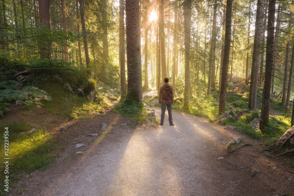 Man standing at the sunny forest path Man standing at the sunny forest path