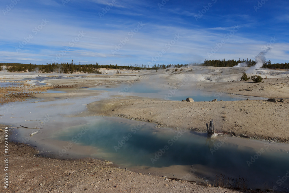 Yellow Stone National park