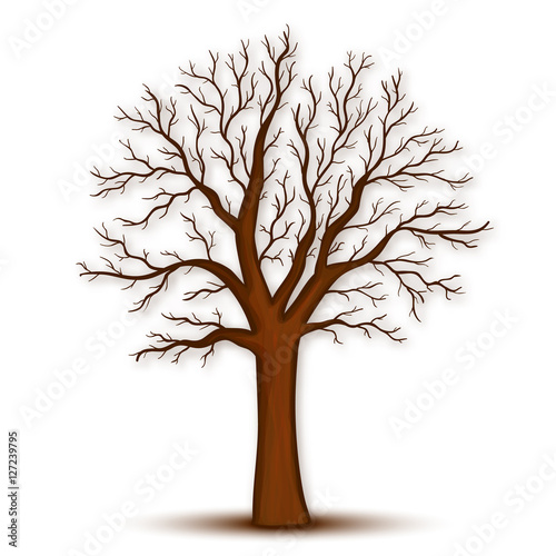 Naklejka Drzewo bez liści wektorowych