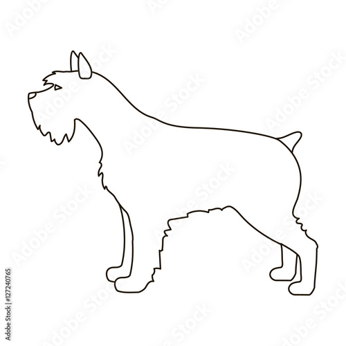 Schnauzer icon in outline style isolated on white background. Dog breeds symbol stock vector illustration.