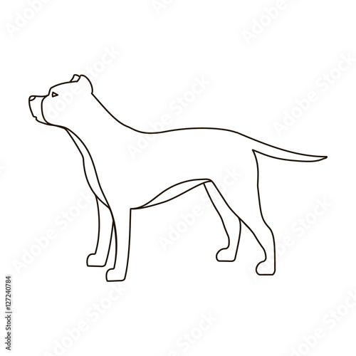Pitbull icon in outline style isolated on white background. Dog breeds symbol stock vector illustration.
