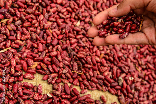 Brown beans in Colombia's countryside