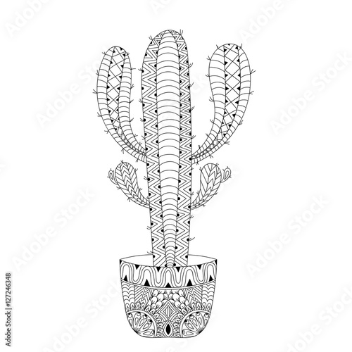 Zentangle mexican Cactus vector illustration. Hand drawn outline