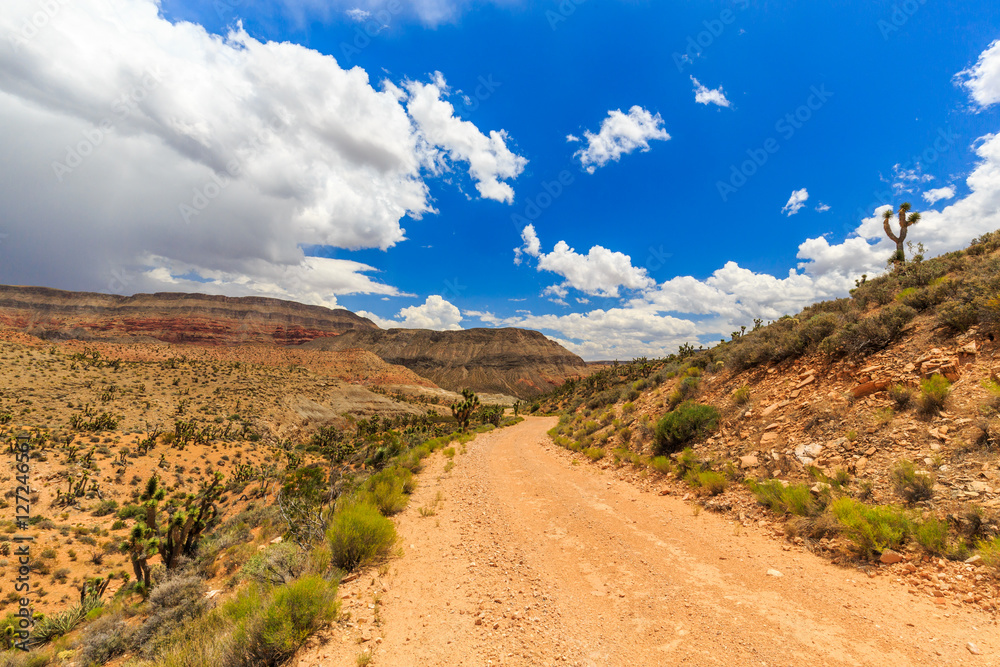 Road 1005, Littlefield, AZ 86432, USA