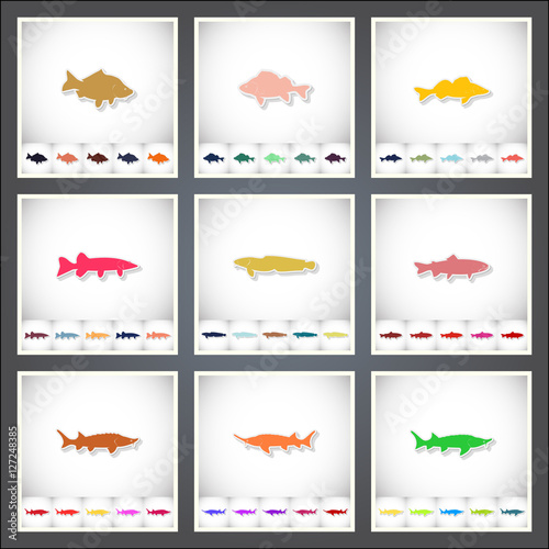 Freshwater fish. A set of flat stickers with shadow on white background © kadevo