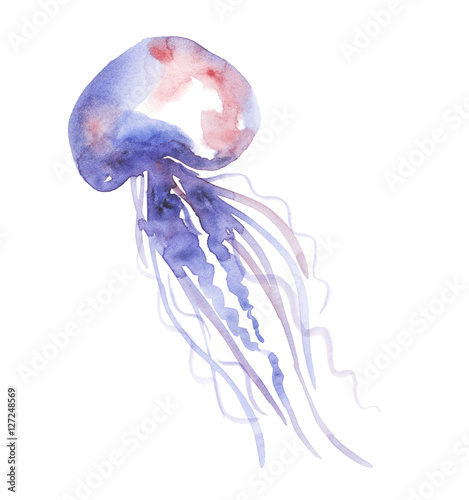 isolated pale color tender ...