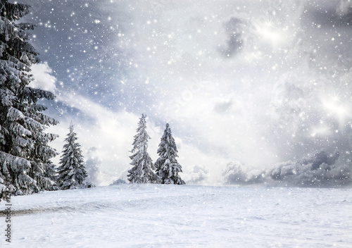 snowy winter landscape © Melinda Nagy