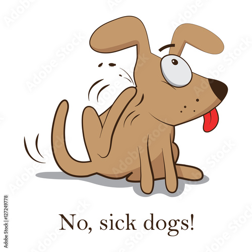 Flea dog. Scratching Bugs. Vector illustration on white background. Life. bites. animal. Symptoms .
