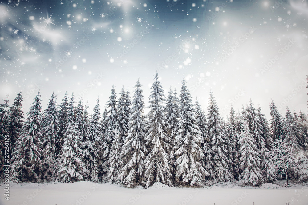 Naklejka premium snowy winter landscape