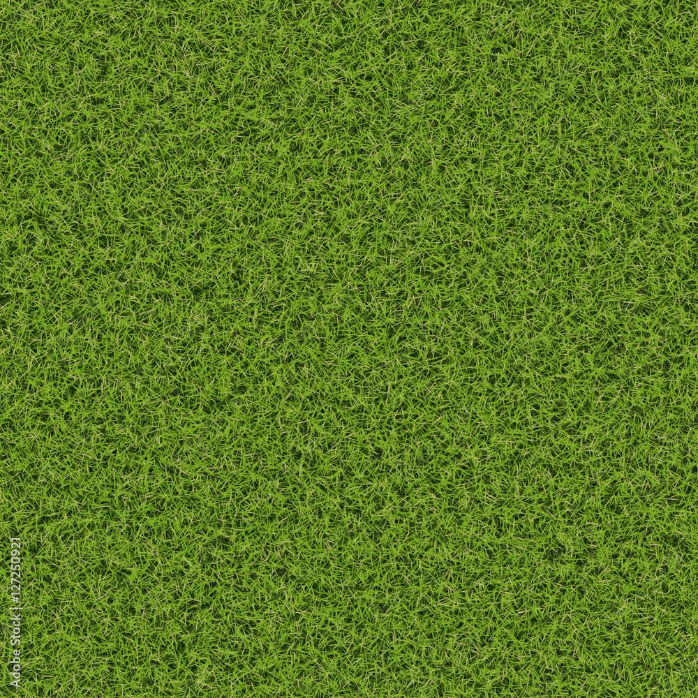 custom made wallpaper toronto digitalGrass texture hi-resolution