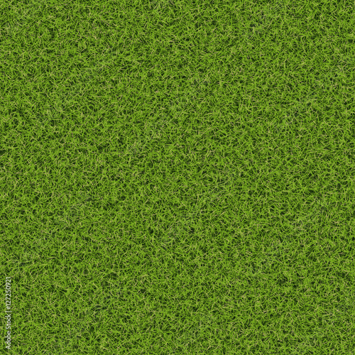 Grass texture hi-resolution