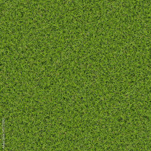 Wallpaper Mural Grass texture hi-resolution Torontodigital.ca