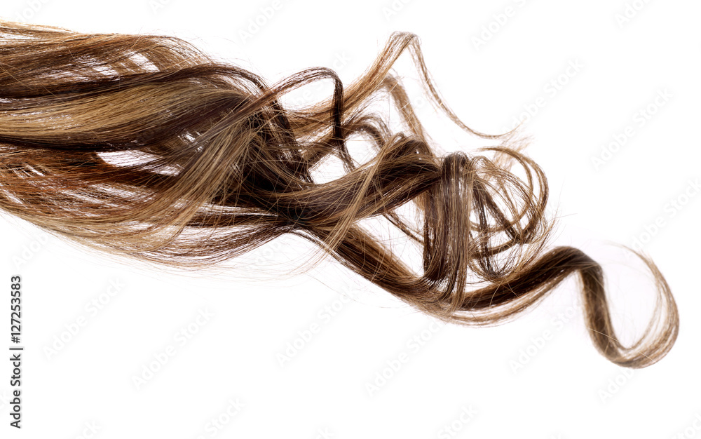 brown hair on white background - obrazy, fototapety, plakaty 