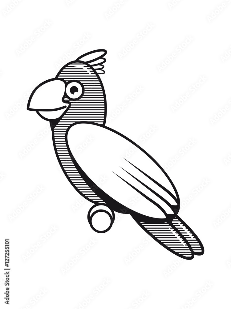 Fototapeta premium Parrot funny child striped