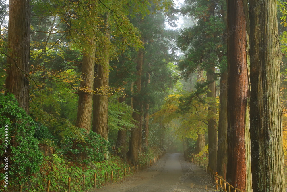 Obraz premium 世界遺産 平泉 紅葉の中尊寺