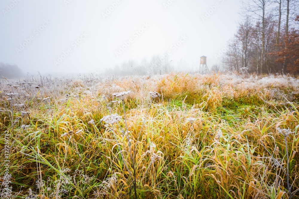 Fototapeta premium Frosty morning landscape and raised hide