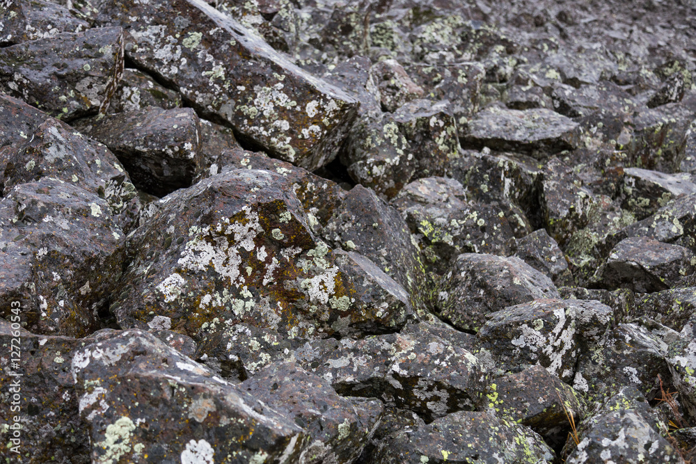 Stones at Sheepeater Cliff